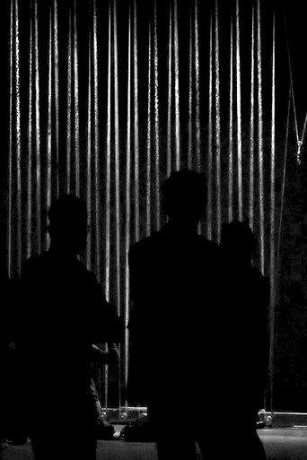 Gold Film, The Shadow of Gold () poster