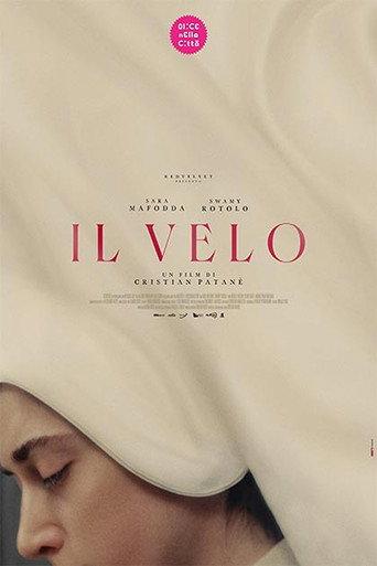 The Veil (2025) poster