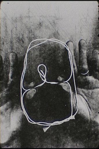 cat's cradle (2011) poster