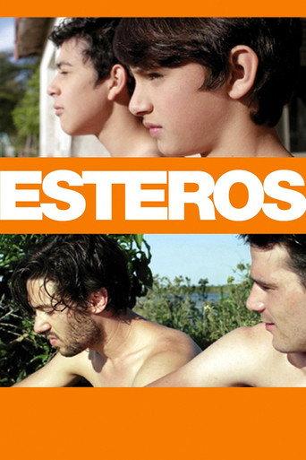 Esteros (2016) poster