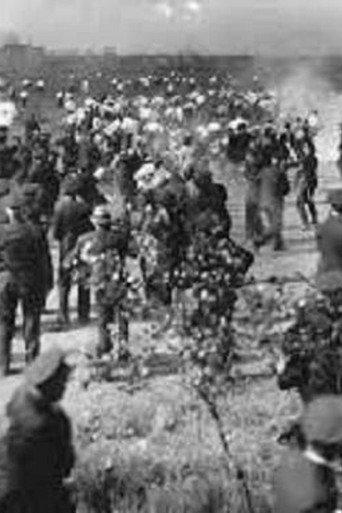 Republic Steel Strike Riots Newsreel Footage (1937) poster