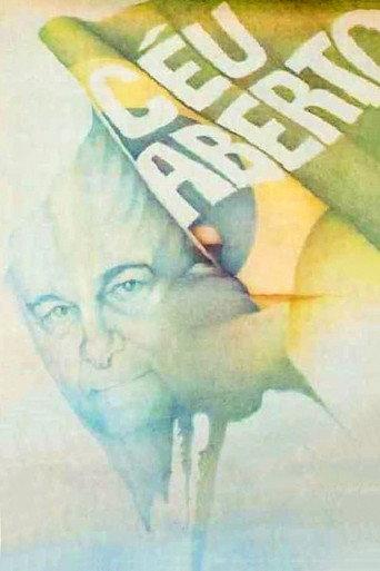 Open Skies (1985) poster
