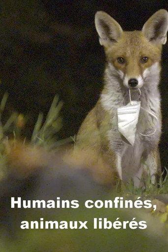 Menschen eingesperrt, Tiere befreit (2023) poster