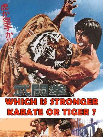 Which Is Stronger, Karate or the Tiger? (1976) poster