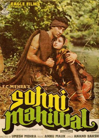 Sohni Mahiwal (1984) poster