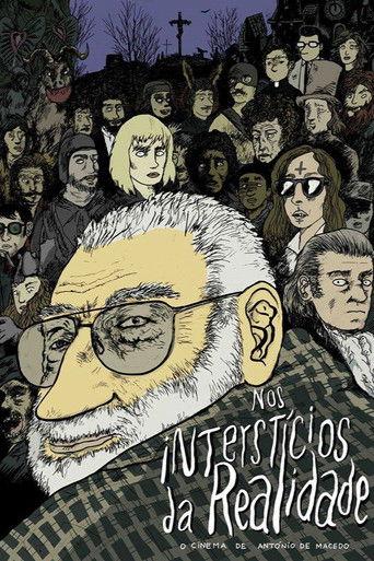 In the Interstices of Reality or The Cinema of António de Macedo (2016) poster