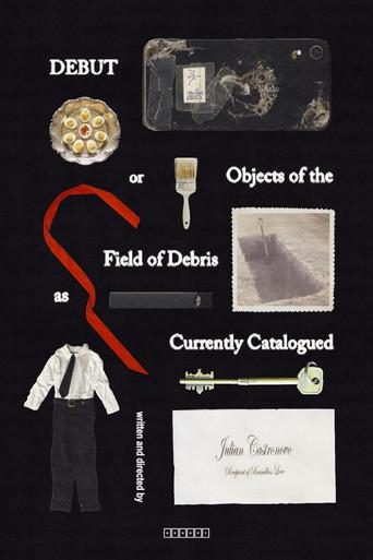 Debut, or, Objects of the Field of Debris as Currently Catalogued (2025) poster