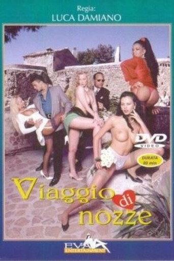 Viaggio Di Nozze (1996) poster