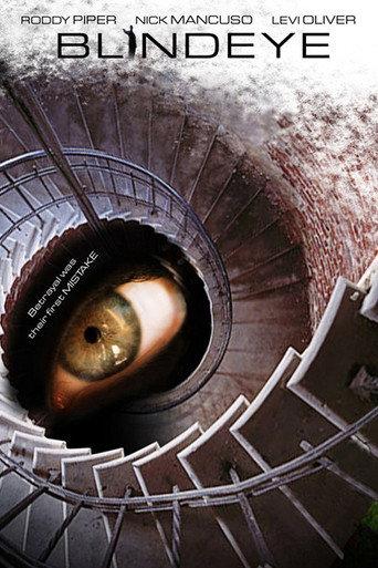 Blind Eye (2007) poster