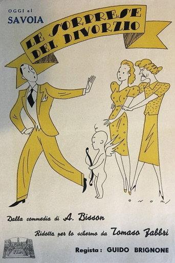 Le sorprese del divorzio (1923) poster