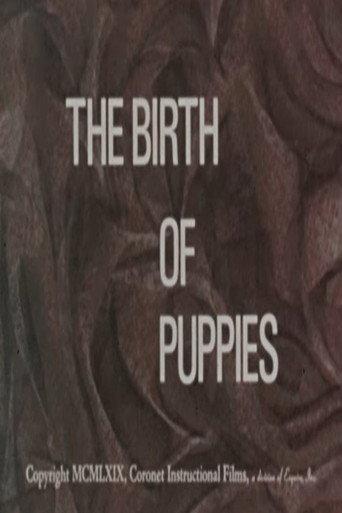 The Birth of Puppies (1969) poster