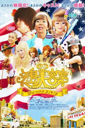 MIRACLE GIRLS: Neva-da Stop Dreaming (2010) poster