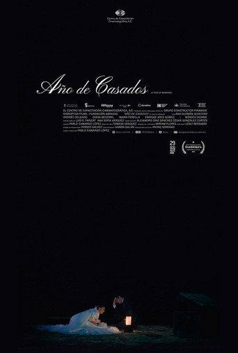 A Year of Marriage (2025) poster