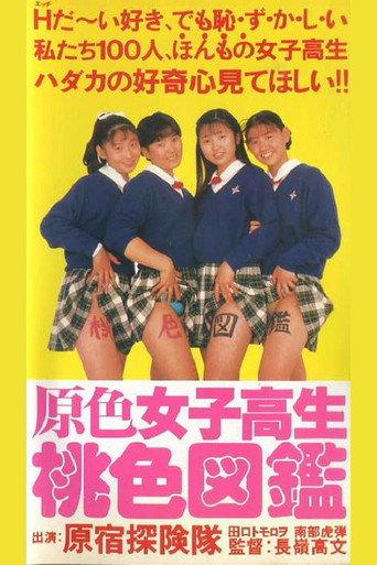 Primary Colour High School Girl Pink Picture Book (1990) poster