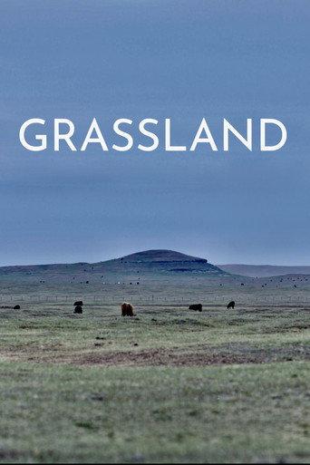 Grassland (2023) poster