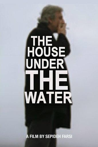 The House under the Water (2010) poster