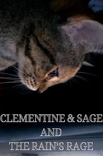 Clementine & Sage and The Rain's Rage (2024) poster