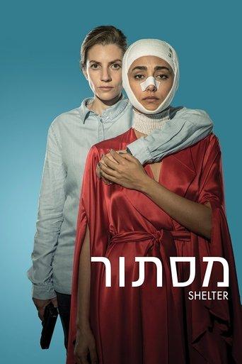 Shelter (2017) poster