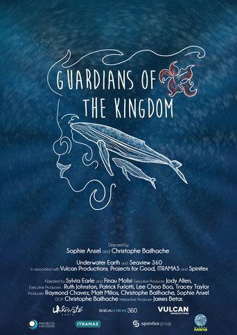 Guardians of the Kingdom (2020) poster