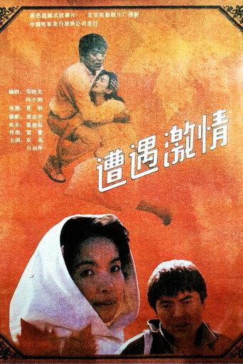 遭遇激情 (1990) poster