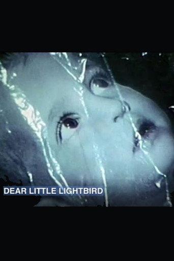 Dear Little Lightbird (1968) poster