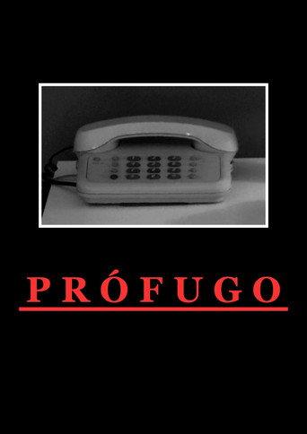 Fugitive (2024) poster