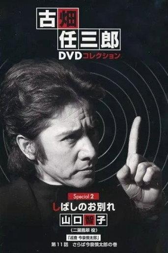 A Brief Parting (1996) poster