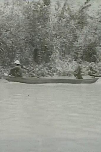 Khoảng Vượt (1989) poster