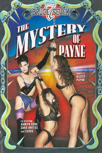 Mystery of Payne (1991) poster