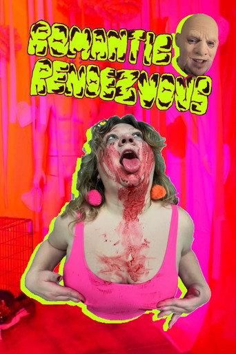 Romantic Rendezvous (2024) poster