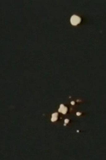Song 11 (1965) poster