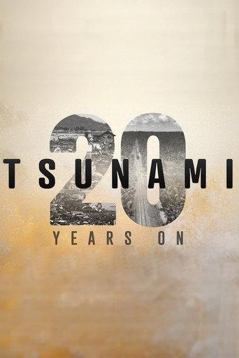 Tsunami: 20 Years On (2024) poster