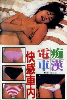 Groper Train: Pleasure Inside the Car (1987) poster