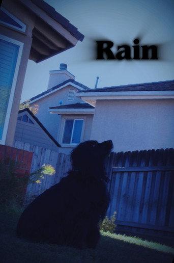 Rain (2023) poster