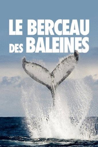 The Cradle of Whales (2015) poster