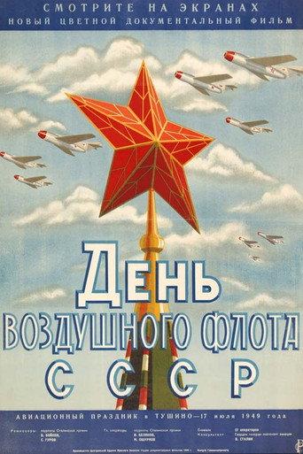 USSR Air Fleet Day (1949) poster