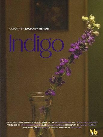 INDIGO (2026) poster