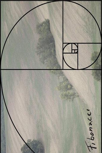 Fibonacci (2020) poster