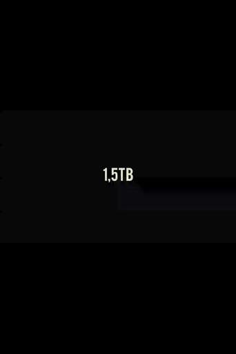 1,5TB (2013) poster