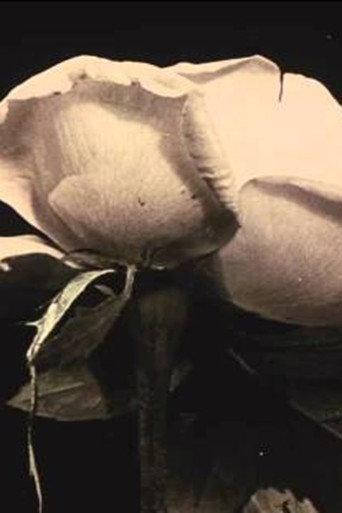 Fleurs des champs (1912) poster