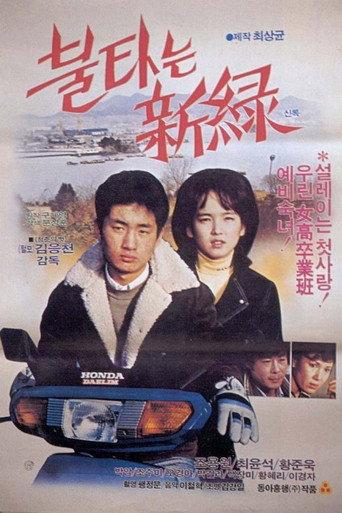 A Country Affair (1984) poster