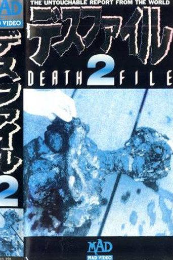 Death File 2 (1989) poster
