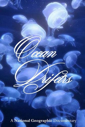 Ocean Drifters (1993) poster