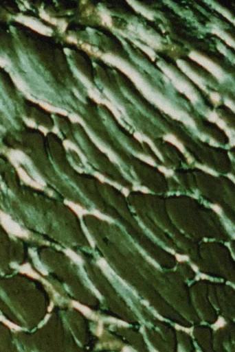 The Galilean Satellites - Europa (2003) poster