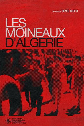 Les Moineaux d'Algérie (1979) poster