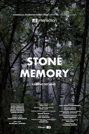 Stone Memory (2026) poster