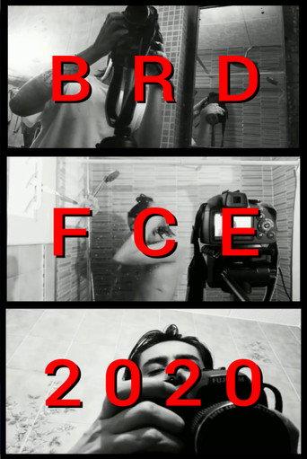 BRDFCE2020 (2020) poster