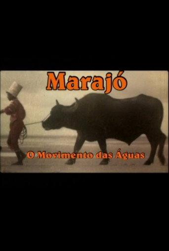 Marajó: A Origem das Águas (2010) poster