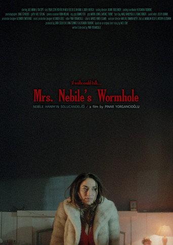 Nebile Hanım'ın Solucan Deliği (2016) poster