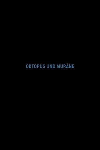Octopus and Moray (2020) poster